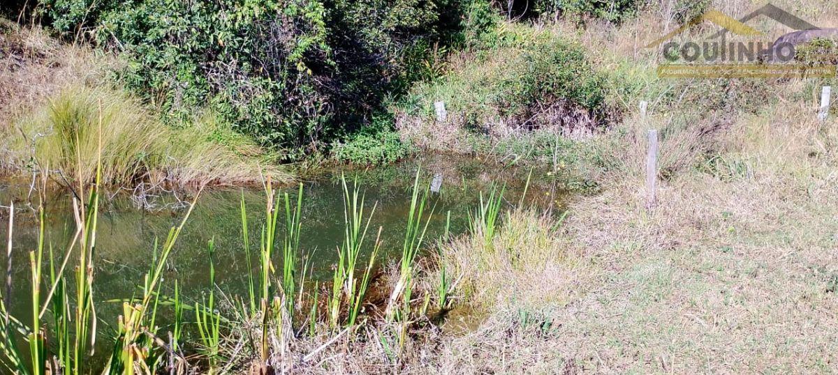 WhatsApp Image 2025-07-17 at 09.47.58.jpeg